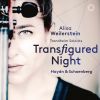 Download track Cello Concerto No. 2 In D Major, Hob. VIIb 2 III. Rondo. Allegro
