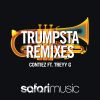 Download track Trumpsta (Mobin Master Vs. Tate Strauss Remix)