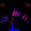 Download track Indeterminacy