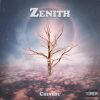 Download track Whole Thing