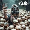 Download track Nothin' But A Slund Thang