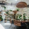 Download track Cultivated Piano And Acoustic Bass - Vibe For Inspiring Coffee