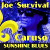 Download track Sunshine Blues