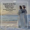 Download track Symphony No. 1 In F-Sharp Minor, Op. 4: IV. Allegro Molto