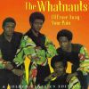 Download track Souling With The Whatnauts