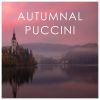 Download track Tosca / Act 3: 
