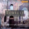 Download track Concerto Two Trumpets In D Major - 2. Largo E Staccato - Presto