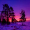 Download track Sin Corazon