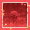 Download track Subtle Ambiance For Separation Anxiety