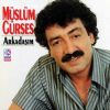 Download track Arkadaşım