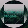 Download track Fast-Paced Rain
