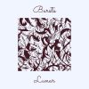Download track Bursts