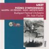 Download track Der Tanz In Der Dorfschenke (Mephisto-Walzer Nr. 1), S. 110 Nr. 2