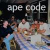 Download track It's A Shame