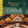 Download track 13 Gleichwie Der Regen Und Schnee Vom Himmel Fällt BWV 18 - I Sinfonia