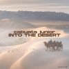 Download track Into The Desert