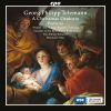 Download track Ihr Völker, Bringet Her Dem Herrn, TVWV 1919 05 Arie Ich Opfre, Jesu, Dir Mein Herz