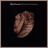 Download track Variation V. Marcia. Allegretto In C Minor