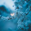 Download track Soft Tones For Night Rest