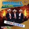 Download track Ramito De Violetas