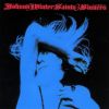 Download track Stray Cat Blues