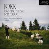 Download track Lokk After A Call To Prayer, Tunisia