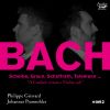 Download track Telemann: Concerto In D Major, TWV 42: D6: I. Piacevole