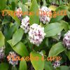 Download track Two Lips