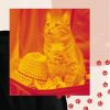 Download track Warm Cozy Kittens