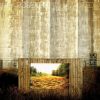 Download track Seeds