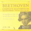 Download track III. Allegro Moderato