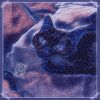 Download track Catnip!