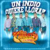 Download track Un Indio Quiere Llorar