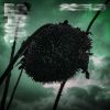 Download track Without Light