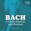 Download track Violin Partita No. 3 In E Major, BWV 1006: IV. Menuet I - Menuet II