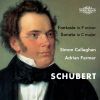 Download track Fantasie In F Minor, D. 940 I. Allegro Molto Moderato