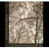 Download track ΕΙΝ' ΤΟ ΤΡΑΓΟΥΔΙ 