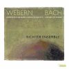 Download track String Quartet, Op. 28: II. Gemächlich