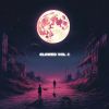 Download track SUMMER BREEZE (Slowed & Reverb)