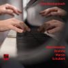 Download track Fantasy In C Major, Op. 15, D. 760 