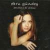 Download track Erkekler