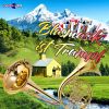 Download track Bayrischer Defiliermarsch