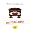 Download track Stravinsky: Violin Concerto In D Major - 3. Aria II