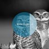 Download track Infuse (Original Mix)