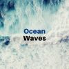 Download track Explorer Ocean