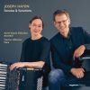 Download track Franz Joseph Haydn: Sonata In E-Flat Major (Es-Dur), Hob. XVI: 49: I. Allegro: Sonata In E-Flat Major (Es-Dur), Hob. XVI: 49: I. Allegro