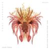 Download track Some Things (Animal Trainer Remix)