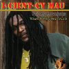 Download track Caan Fallow None A Dem