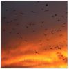 Download track Nightfall
