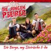 Download track Du Bist Der Wahnsinn
